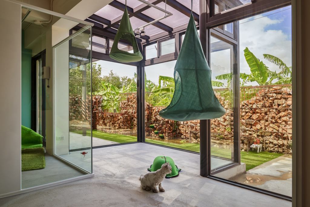Pet treats studio